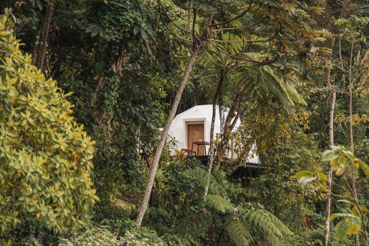 Terramia Estate Villa Minca Buitenkant foto
